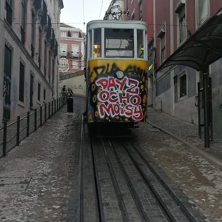 旁巴力诺里斯本概念公寓