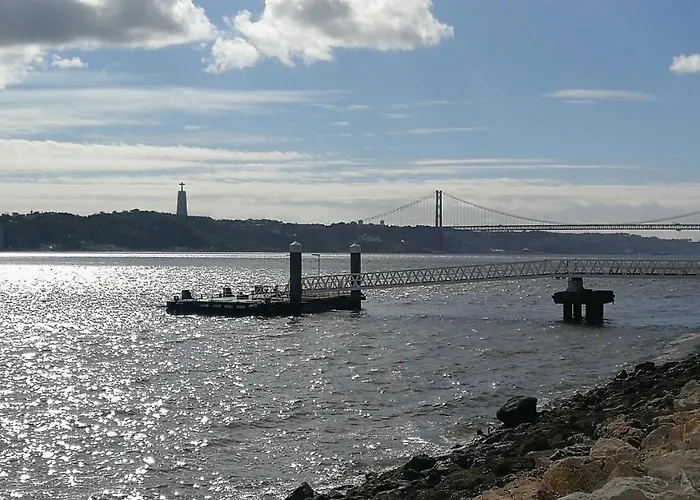 Pombalino! Concept *